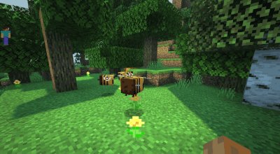 《我的世界手游》蜜蜂怎么驯服 蜜蜂驯服方法