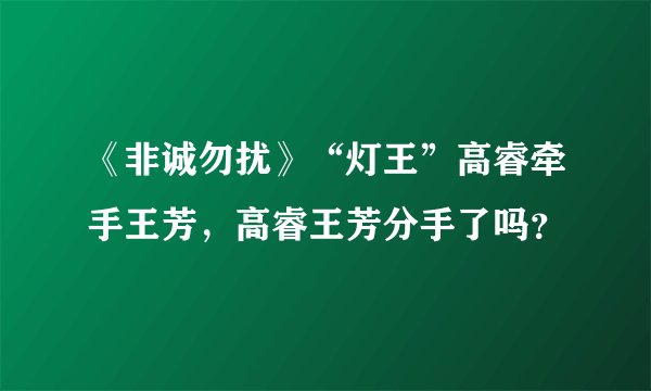 《非诚勿扰》“灯王”高睿牵手王芳，高睿王芳分手了吗？