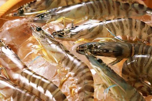 小虾怎么做好吃？