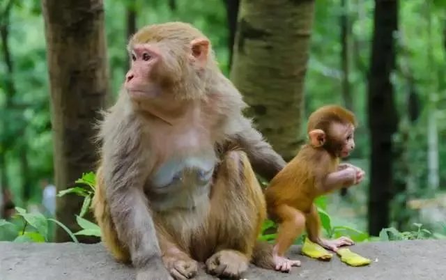 贵阳有哪些旅游景点？