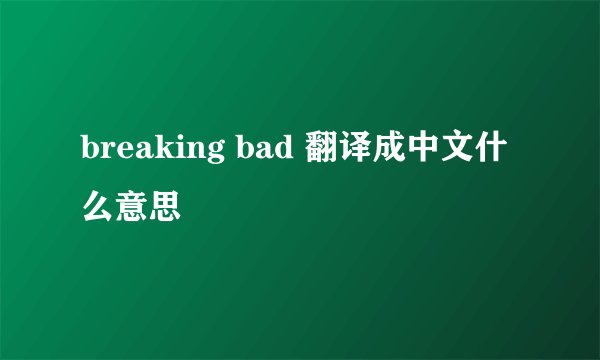 breaking bad 翻译成中文什么意思