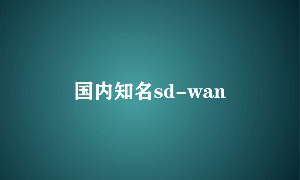 国内知名sd-wan