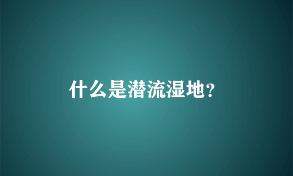 什么是潜流湿地？