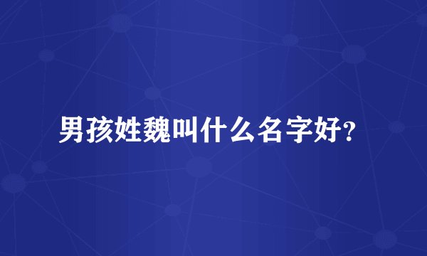 男孩姓魏叫什么名字好？