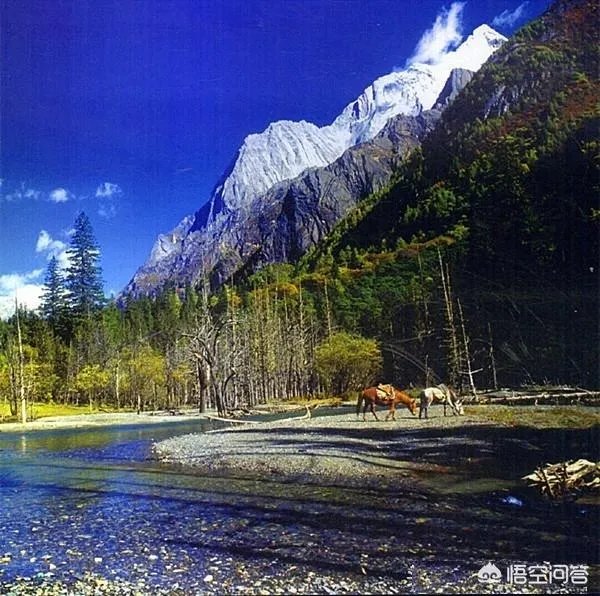 四川的四姑娘山好玩吗？