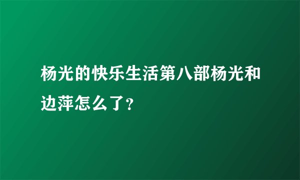杨光的快乐生活第八部杨光和边萍怎么了？
