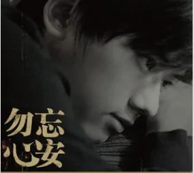 勿忘心安歌词意义