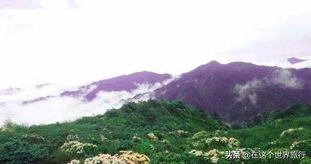五一去崇义旅游,去玩过的驴友可以说下攻略吗?