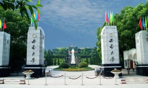 西南大学考研分数线