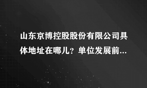 山东京博控股股份有限公司具体地址在哪儿？单位发展前景怎么样？本科生的待遇怎么样？