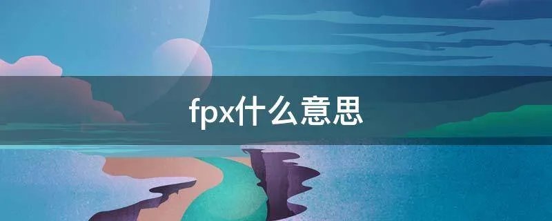 fpx什么意思