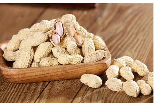 民间长生果是什么