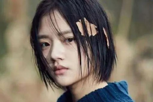 内地新四小花旦是谁？