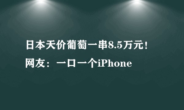 日本天价葡萄一串8.5万元！网友：一口一个iPhone