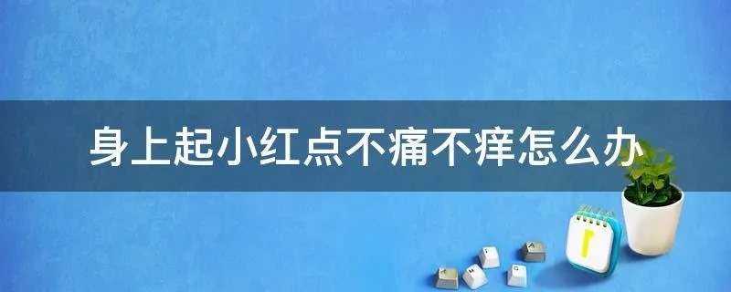 身上起小红点不痛不痒怎么办
