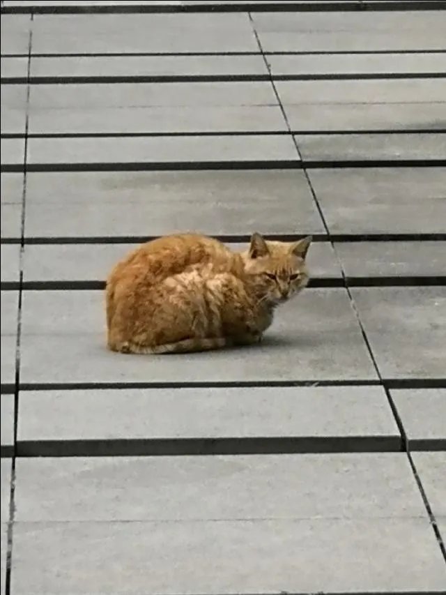 我理财是为了人生更自由，请问这是爱玩的表现吗？