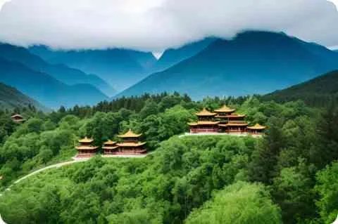 韩高恩简介及详细资料