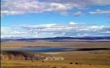 游客疑似给动物喂口罩被制止，这种行为是否违规？