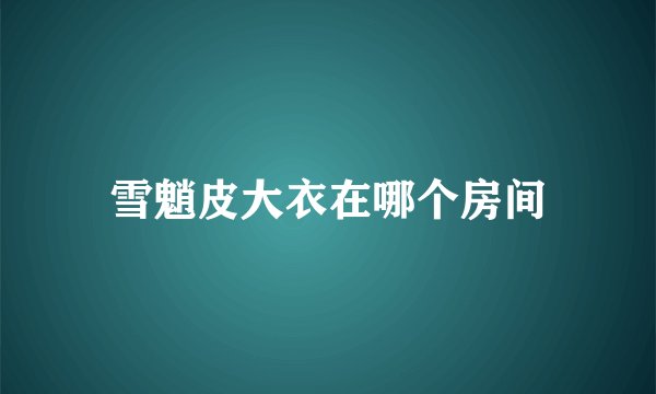 雪魈皮大衣在哪个房间