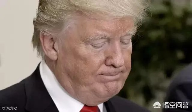 在2020年的美国总统竞选中,特朗普的最强对手还会是希拉里吗?