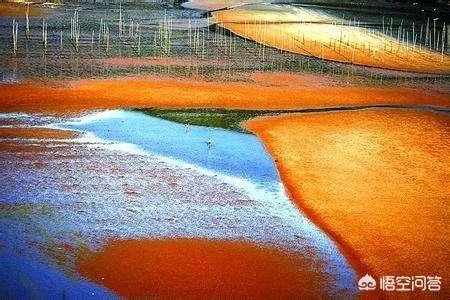 宁德有哪些旅游景点？