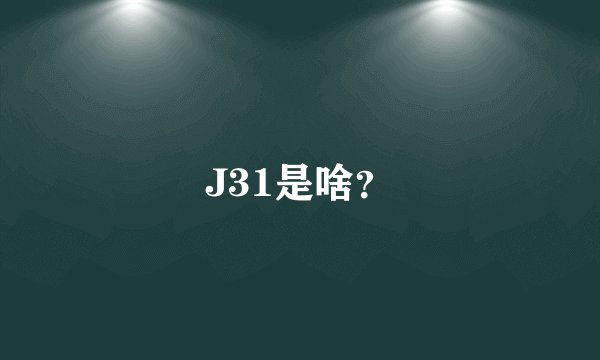 J31是啥？
