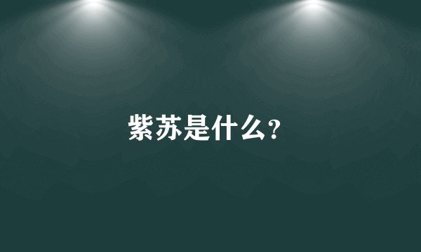 紫苏是什么？