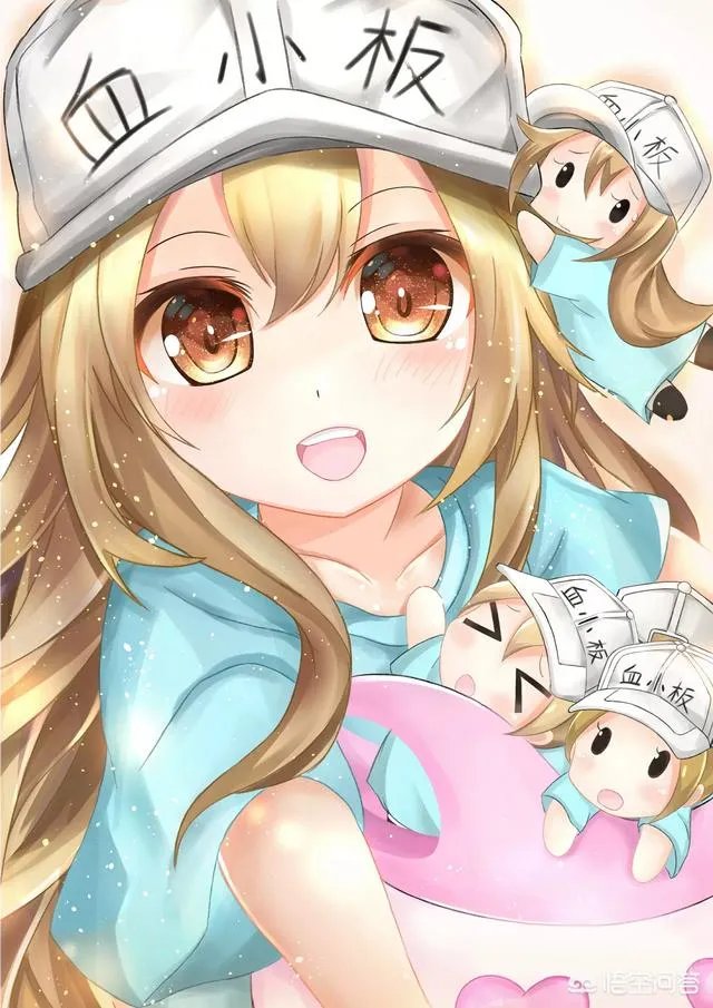 全球最大b站影库