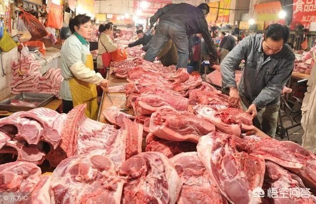 郑州又现非洲猪瘟，对此你怎么看？