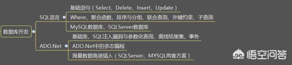 NET开发到底是什么？