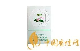 2020荷花牌香烟价格一览表