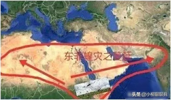 联合国官员说,正在侵袭非洲的蝗虫,会进入了印度,巴基斯坦,你怎么看这些自然现象?