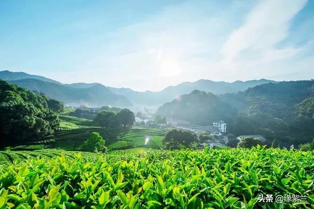 济南CBD的公寓有投资前景吗?