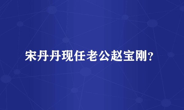 宋丹丹现任老公赵宝刚？