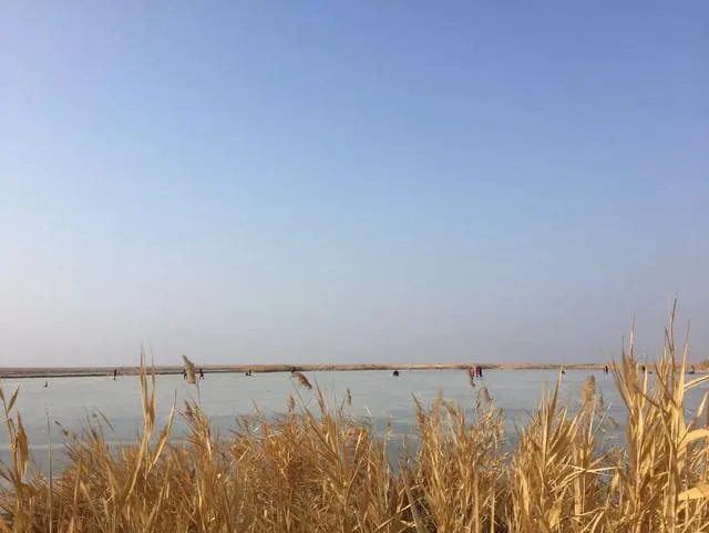 如果只能选一个，你认为新疆哪个湖最美？