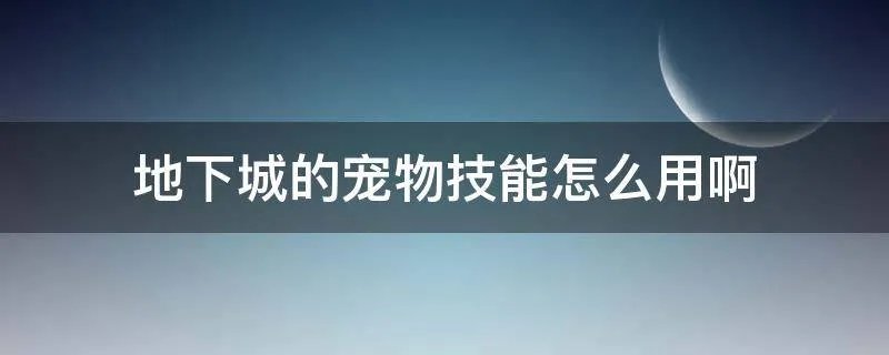 地下城的宠物技能怎么用啊
