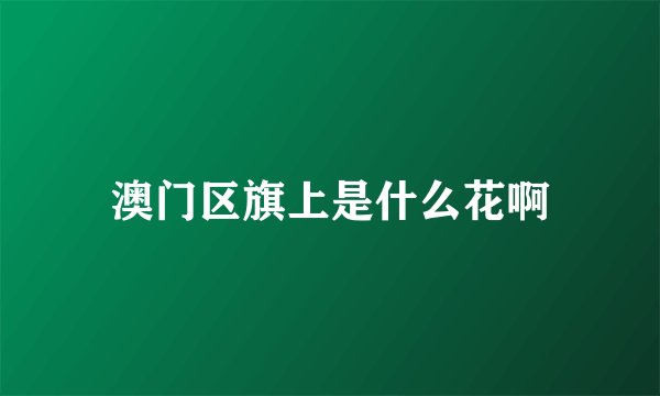 澳门区旗上是什么花啊