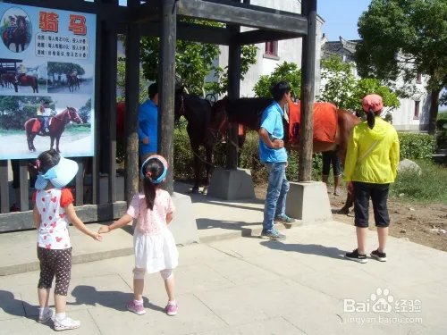 浙江桃花岛有什么好玩的