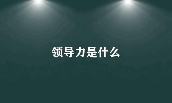 领导力是什么