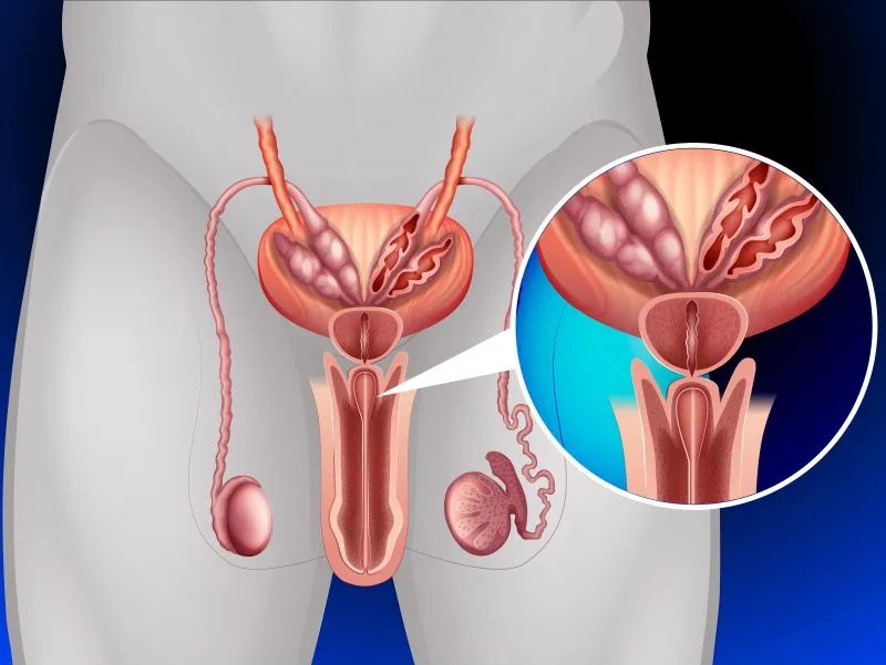 男性50岁后，还有这3个爱好，“雄激素”旺盛，让人羡慕