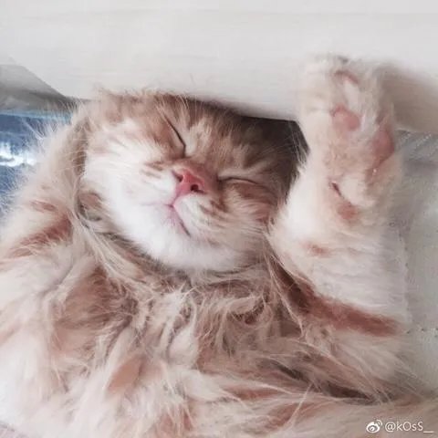 大型偶像养成类综艺《明日之子》里你最喜欢哪个选手?