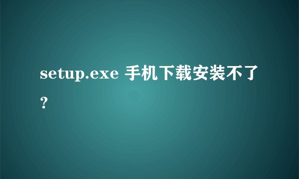 setup.exe 手机下载安装不了?