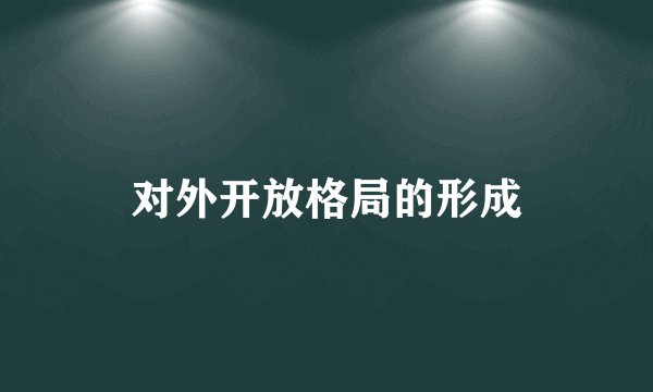 对外开放格局的形成
