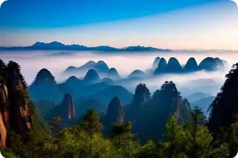 2003年NBA选秀详细资料大全