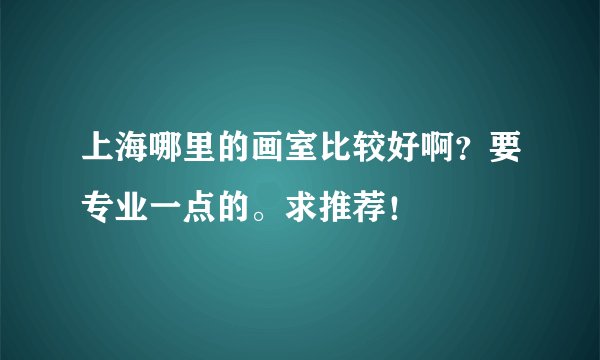 上海哪里的画室比较好啊？要专业一点的。求推荐！