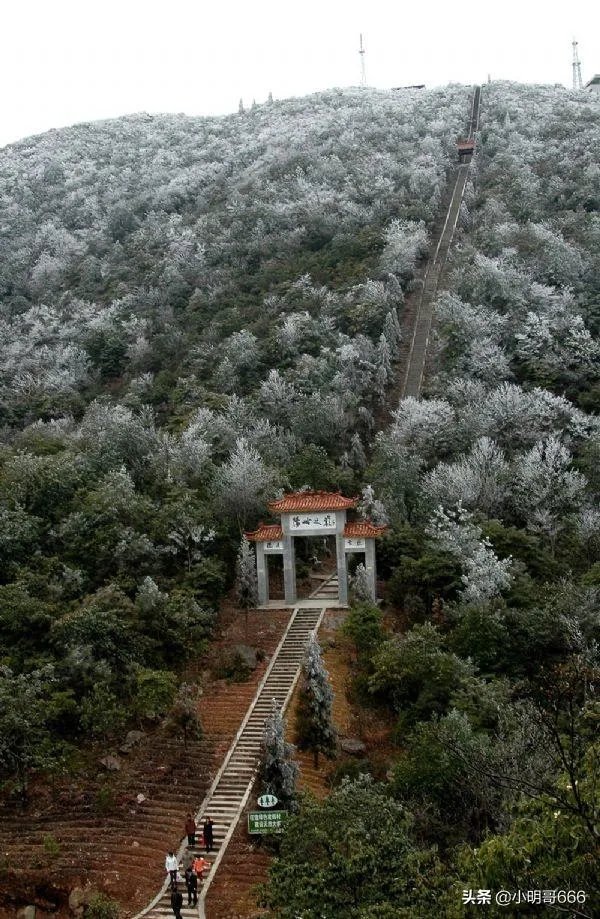 五一去崇义旅游,去玩过的驴友可以说下攻略吗?