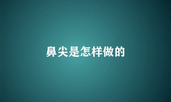 鼻尖是怎样做的
