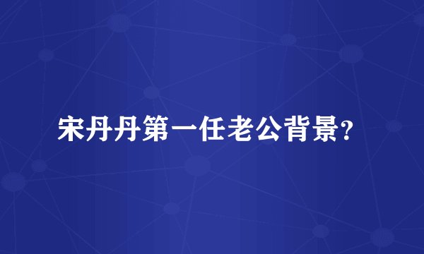 宋丹丹第一任老公背景？