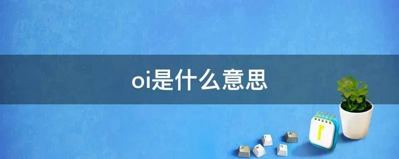 oi是什么意思