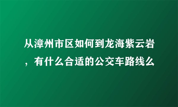从漳州市区如何到龙海紫云岩，有什么合适的公交车路线么
